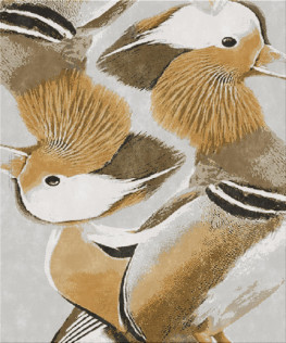 attitude 5911-pidgeons - handgefertigter Teppich,  persisch (Indien), 40x40 3ply Qualität